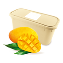 DREYER'S® Mango Ice Cream 5.7L