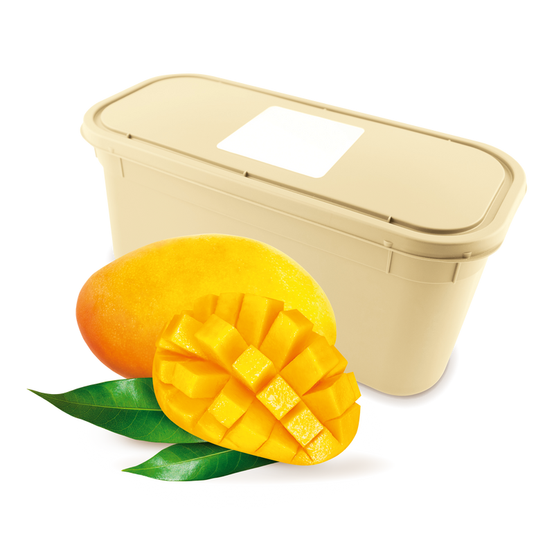 DREYER'S® Mango Ice Cream 5.7L