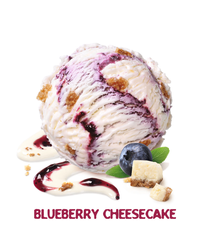 MÖVENPICK®  Bluebry Cheesecake Ice Cream 2.4 L